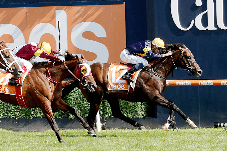 ALABAMA EXPRESS winning the C.F. Orr Stakes.