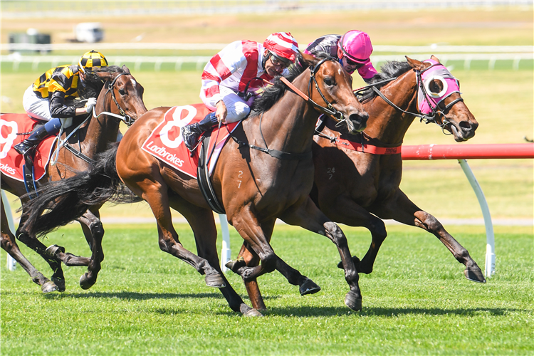 ALLIBOR winning the Ladbrokes Sandown Guineas.