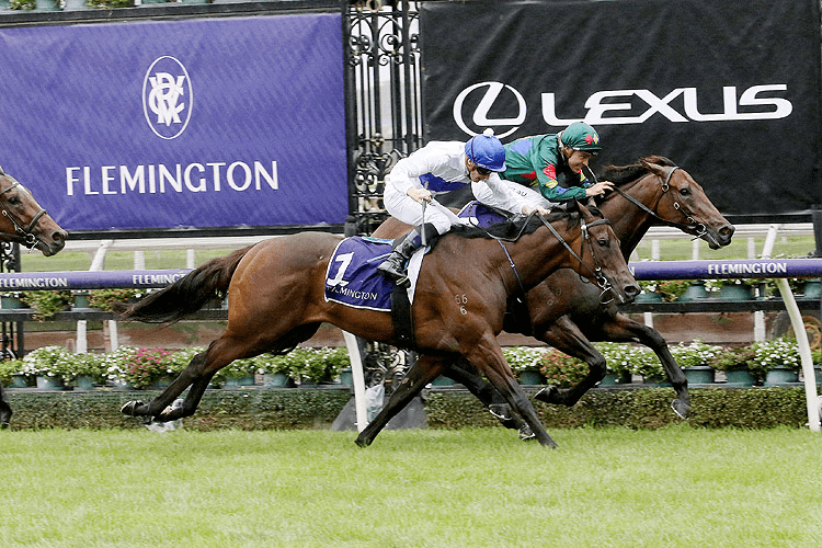 Star New Zealand three-year-old Catalyst (outer) battles with Alligator Blood in the Gr.3 CS Hayes Stakes (1400m) at Flemington