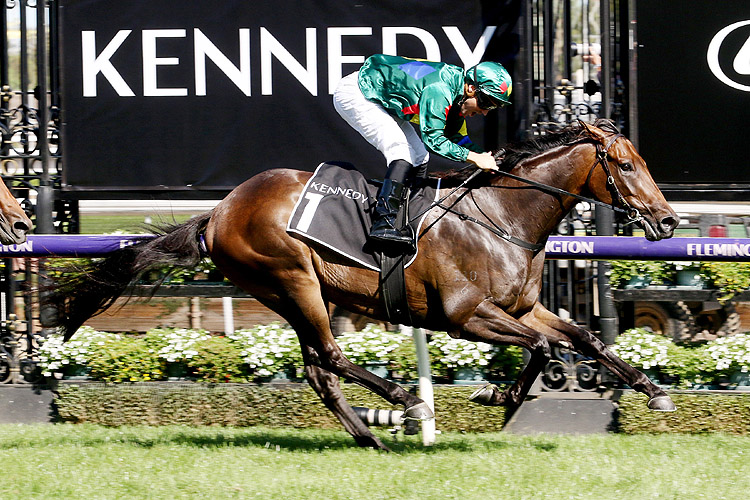 ALLIGATOR BLOOD winning the Kennedy Australian Guineas.