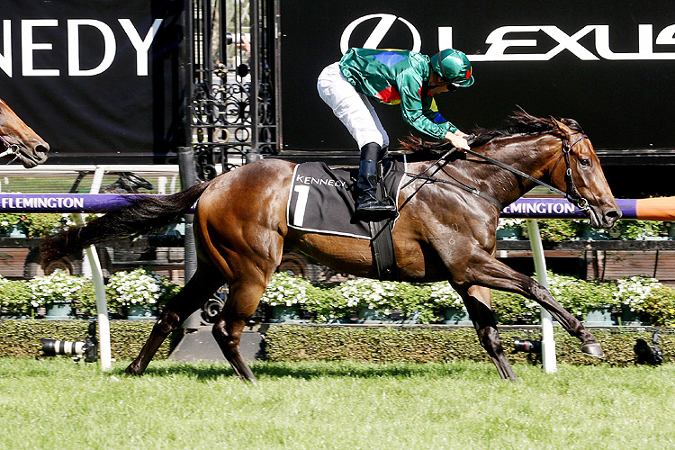 ALLIGATOR BLOOD winning the Kennedy Australian Guineas