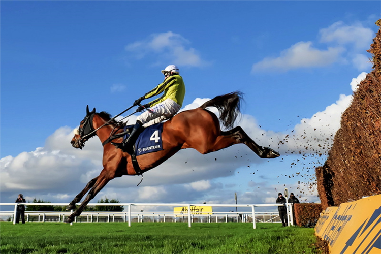 ALLMANKIND winning the Planteur At Chapel Stud Henry VIII Novices' Chase (Grade 1) (GBB Race)