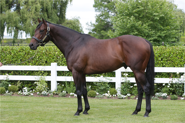 Almanzor