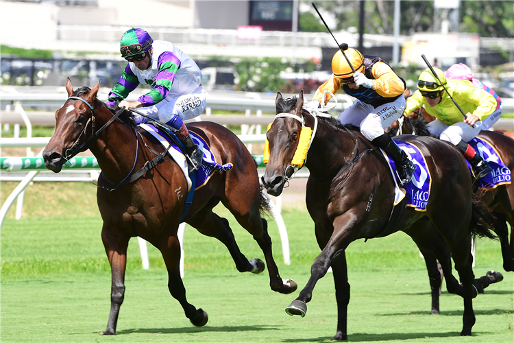 Alpine Edge (left, Robbie Fradd), beats Baby Wong (Andrew Mallyon) in the Group 3 B.J. McLachlan Classic at Eagle Farm.