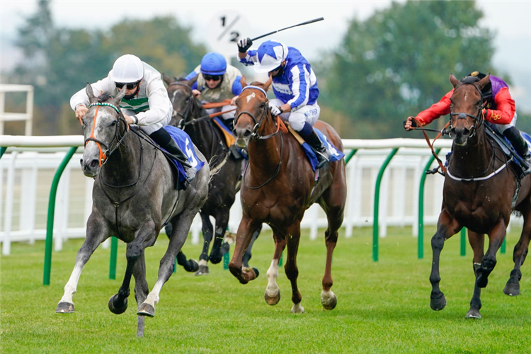 ALPINISTA winning the British Stallion Studs EBF Upavon Fillies' Stakes at Salisbury in England.