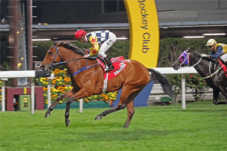 Amazing Star is a top rater at Happy Valley on Wednesday.