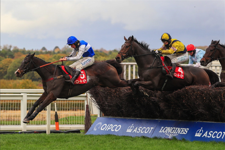 AMOOLA GOLD winning the tote.co.uk Handicap Chase (Listed)