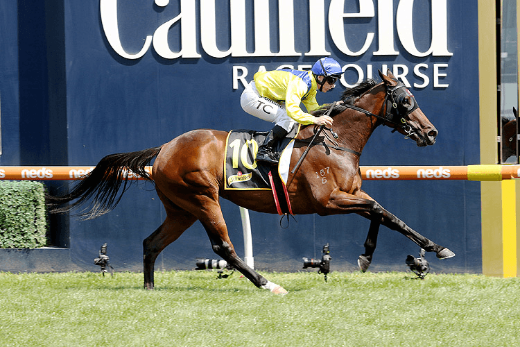 ANAHEED winning the Schweppes Rubiton Stakes