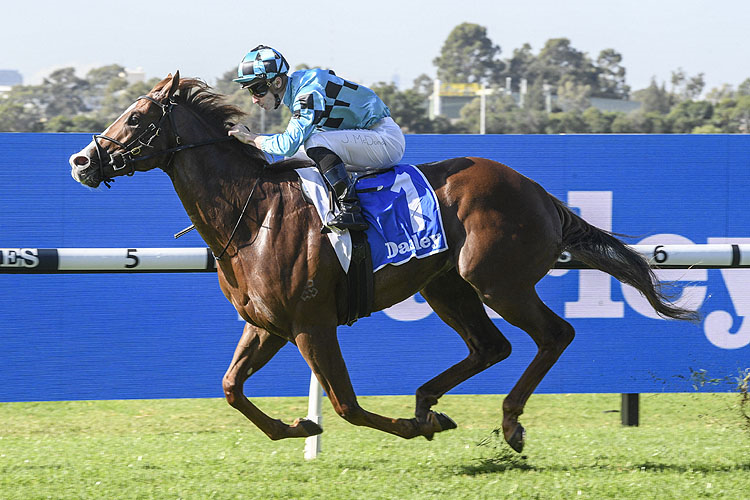 ANDERS winning the Darley Hcp