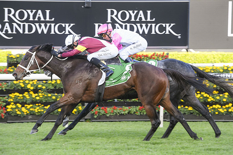 ANOTHER DOLLAR winning the Luux Prop. Gosford Gold Cup