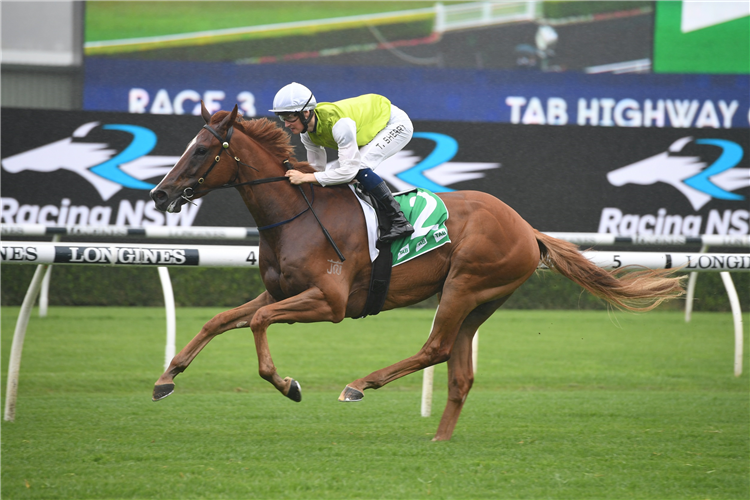 ANOTHER ONE winning the Tab Highway Hcp (C2) at Randwick in Australia.