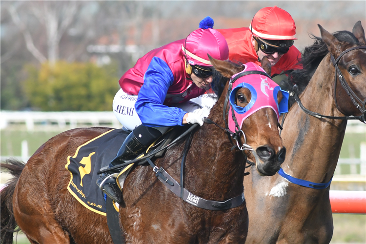 ARAGON winning the Bostock Nz Spring Carnival Mdn