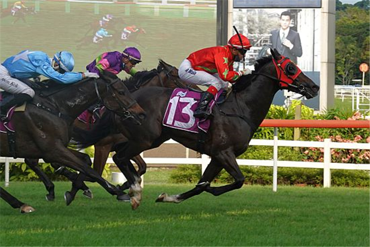 ARAMAAYO winning the KRANJI MILE GROUP 1