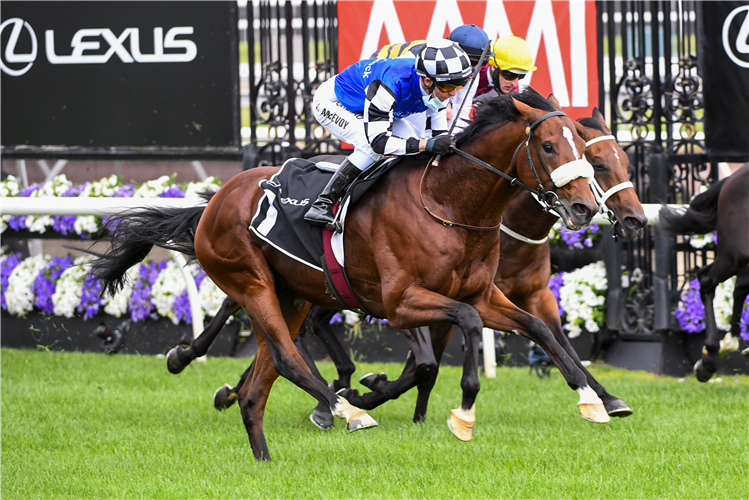 ASHRUN winning the Lexus Hotham Stakes.