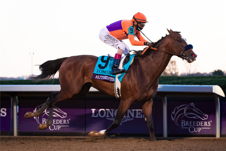 AUTHENTIC winning the Breeders' Cup Classic at Keenland in Australia.