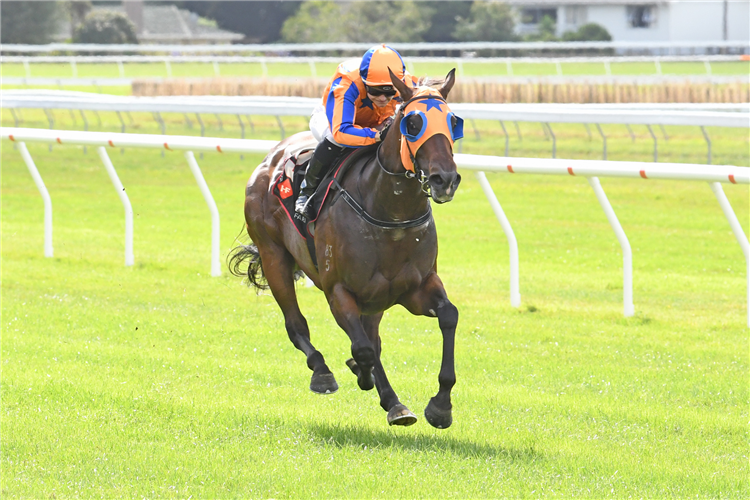 AVANTAGE winning the Haunui Farm