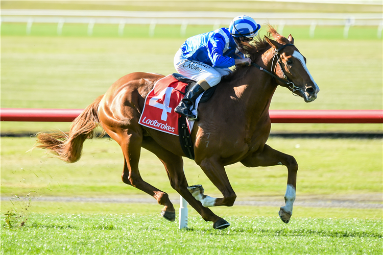 AYSAR winning the Ladbrokes Back Yourself Handicap at Ladbrokes Park Lakeside in Springvale, Australia.