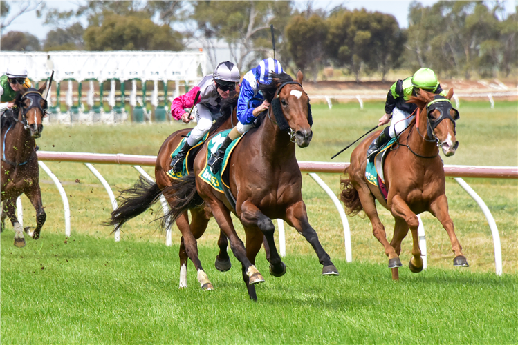 AZALY winning the TAC Be Races Ready Maiden Plate in Donald, Australia.