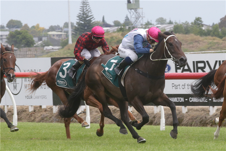 Baby Face will contest the STE Industrial Electrical 2100 at Tauranga on Saturday.