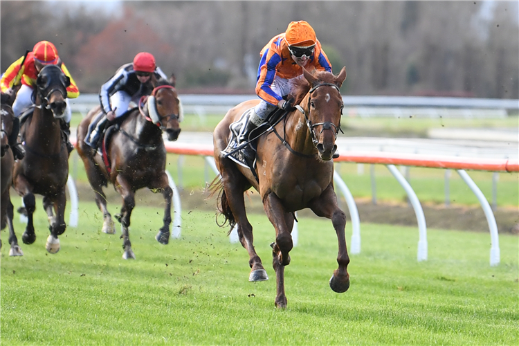 BAK DA MASTER winning the Bonny Glen Landfill (Jmpfl)