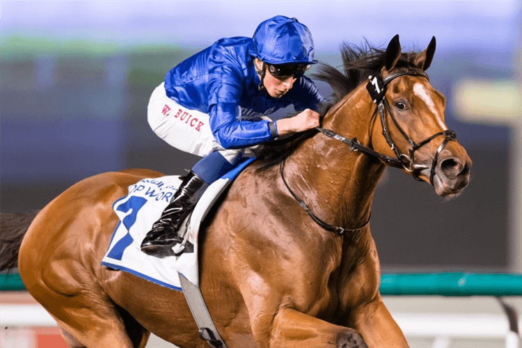 BARNEY ROY winning the Al Rashidiya Sponsored By Hamdan Bin Mohammed Cruise Terminal