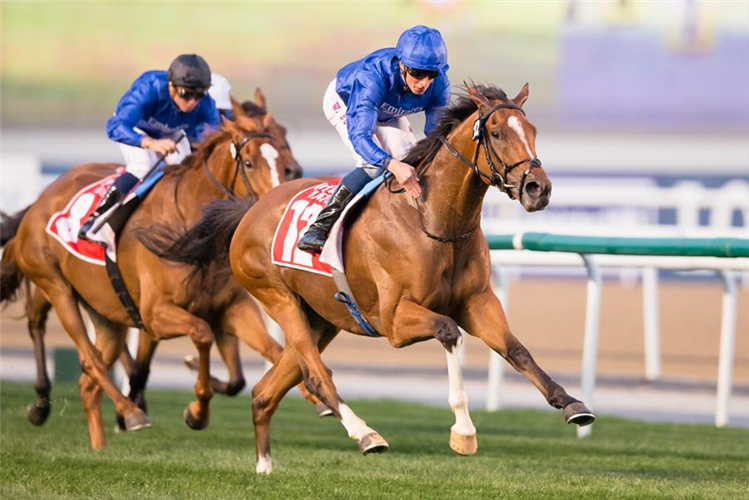 BARNEY ROY winning the Jebel Hatta Sponsored By Emirates Airline