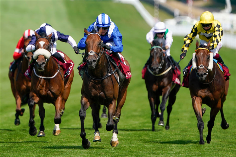 BATTAASH winning the King George Stakes at Goodwood in England.