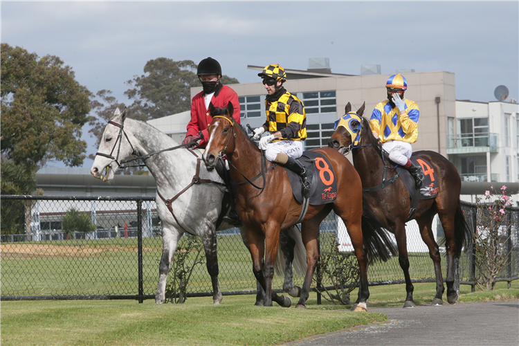 Bavella and Leith Innes head back to the Te Rapa birdcage after a comfortable victory