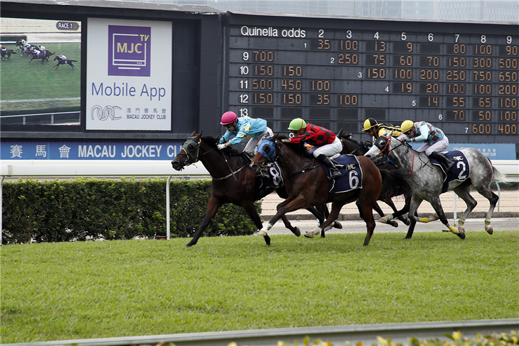 BEAT THE MARKET(pink cap) winning the THE QUEEN'S PARK