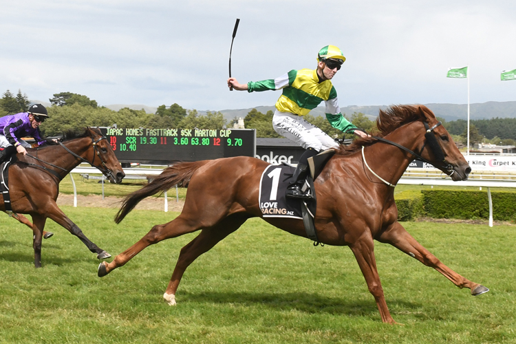 Quality galloper Beauden could be back in action in July