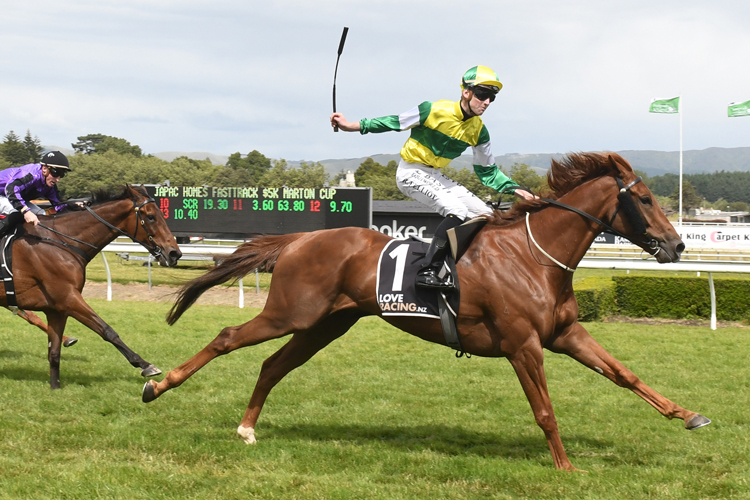 Beauden winning the Japac Homes Marton Cup