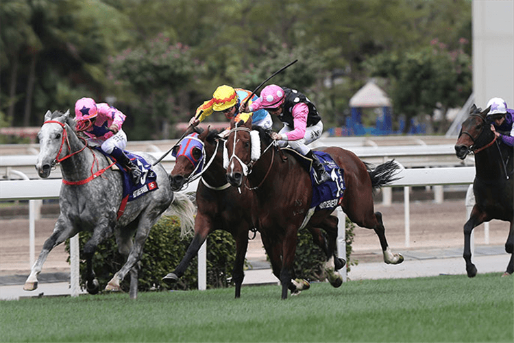 BEAUTY GENERATION winning the The Queen's Silver Jubilee Cup