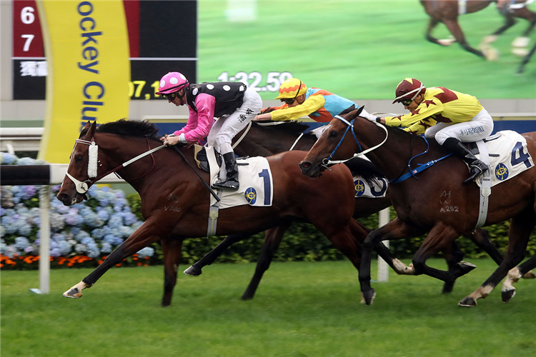 Dual Hong Kong Horse of the Year Beauty Generation will get the opportunity to race for more prizemoney in the Asian racing jurisdiction next season.