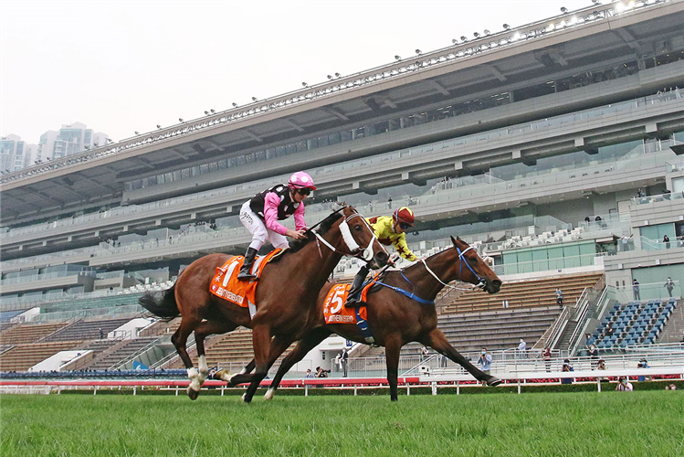 Beauty Generation (in pink) couldn’t make it three Champions Mile wins.