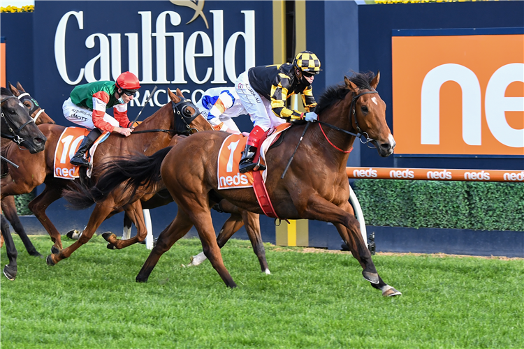 BEHEMOTH winning the Neds Sir Rupert Clarke Stakes.