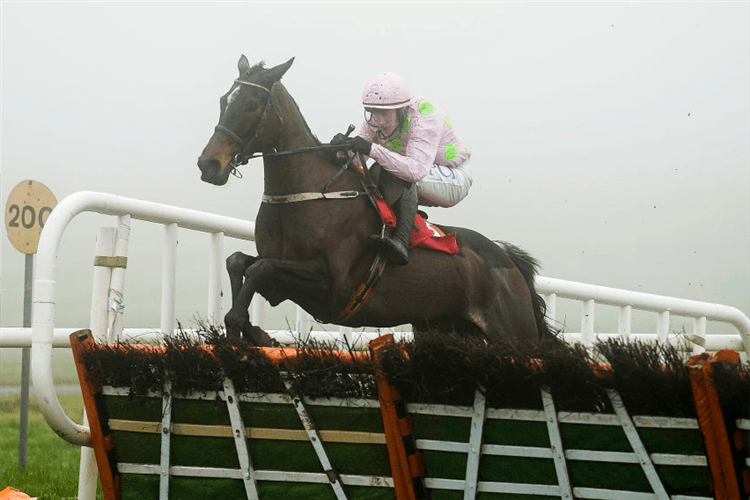 BENIE DES DIEUX  winning the John Mulhern Galmoy Hurdle on a foggy day at Gowran Park  in Kilkenny, Ireland. 