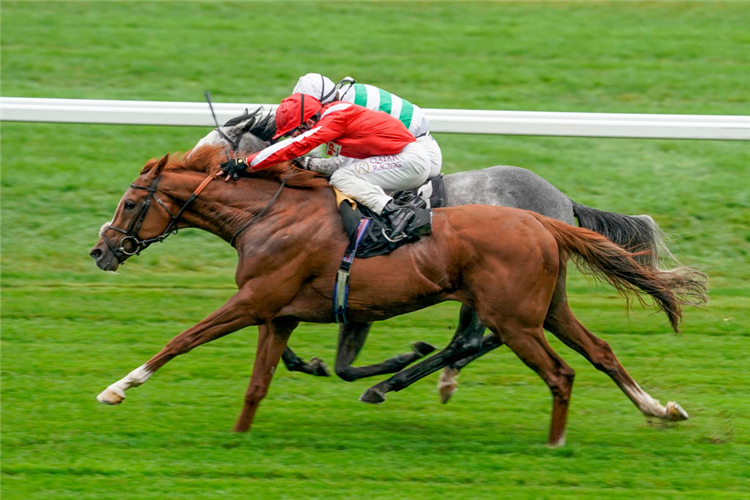 BERKSHIRE ROCCO (Red Cap) winning the TeenTech Noel Murless Stakes at Ascot in England.
