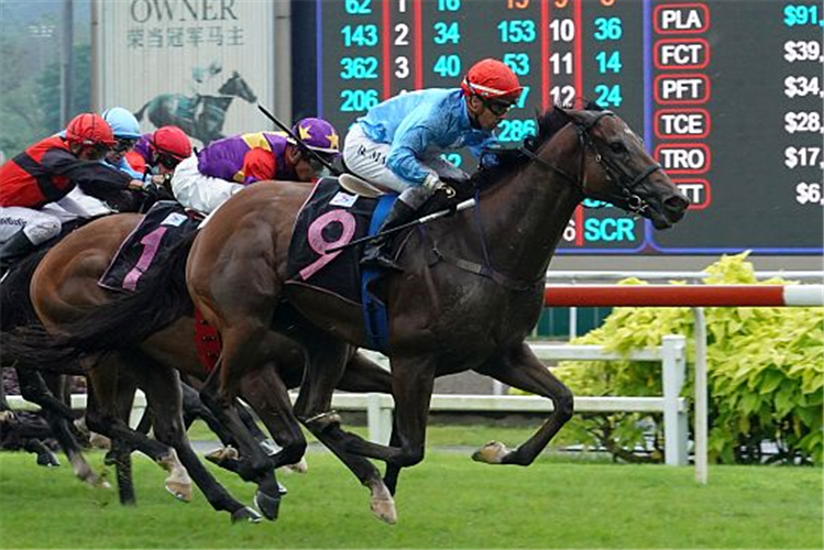 BIG HEARTED winning the BETTER LIFE 2013 STAKES CLASS 3