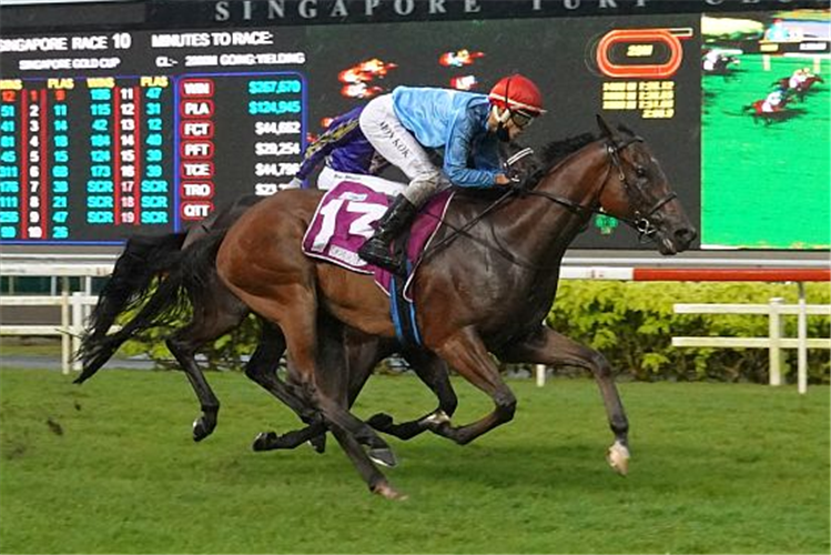 BIG HEARTED winning the SINGAPORE GOLD CUP GROUP 1