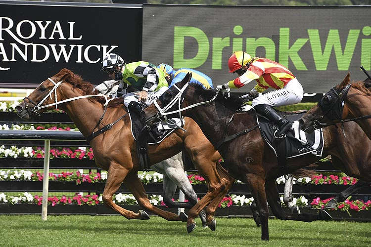 BIGBOYROY winning the Drinkwise Mile (Bm88)