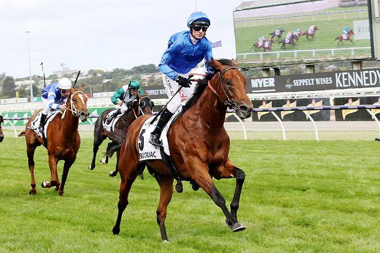 BIVOUAC winning the Newmarket Hcp