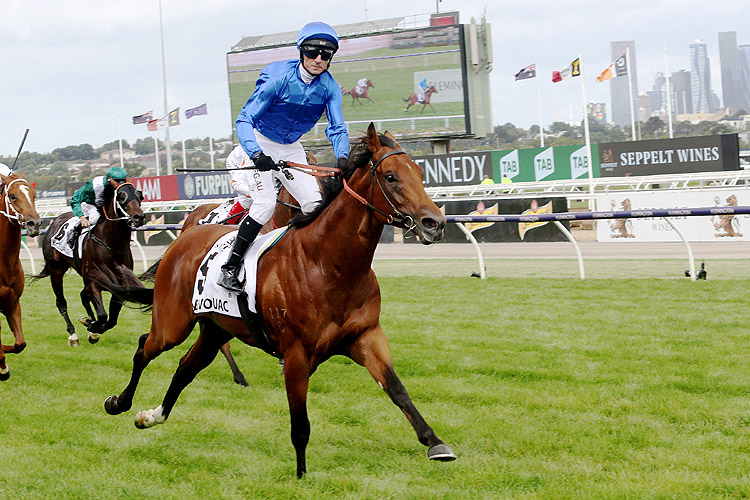 Bivouac winning the Newmarket Handicap.