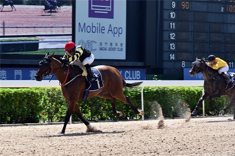 BLACKJACK MOK winning the THE OPAL