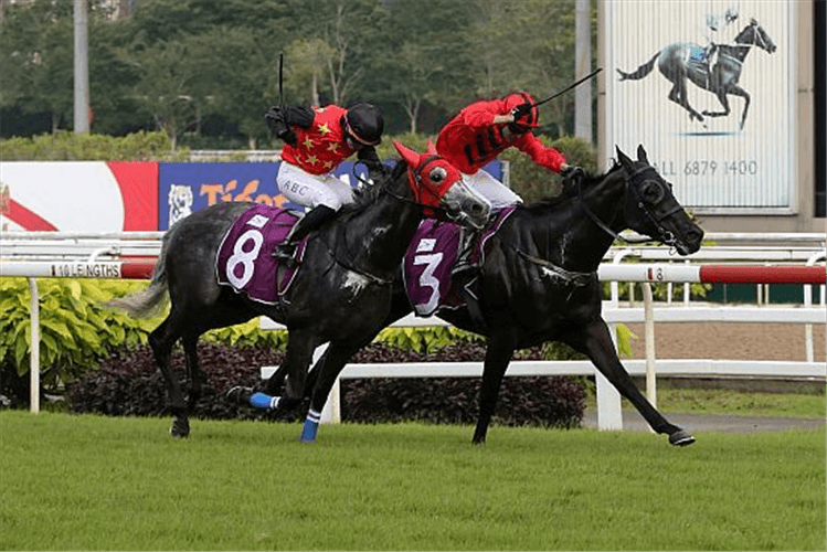 Bold Thruster winning the Fortune Bowl, one of four winners for Vlad Duric.