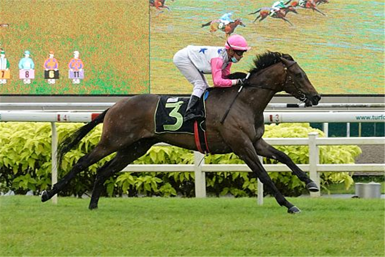 BOOMBA winning the JUPITER GOLD 2018 STAKES RESTRICTED MAIDEN