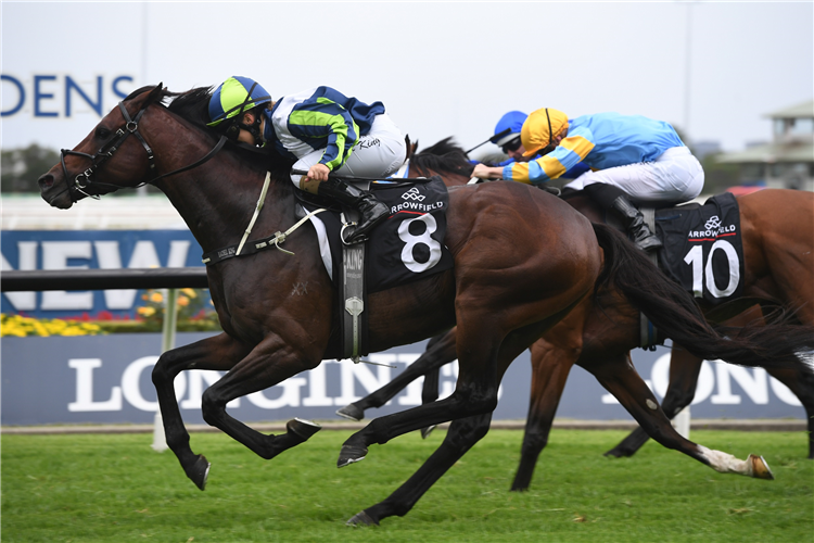 BRANDENBURG winning the Arrowfield Hobartville Stakes.