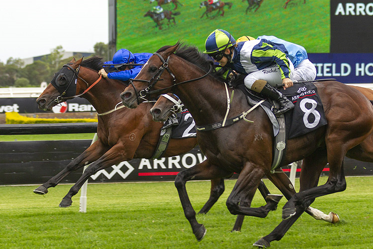 BRANDENBURG winning the Arrowfield Hobartville Stakes