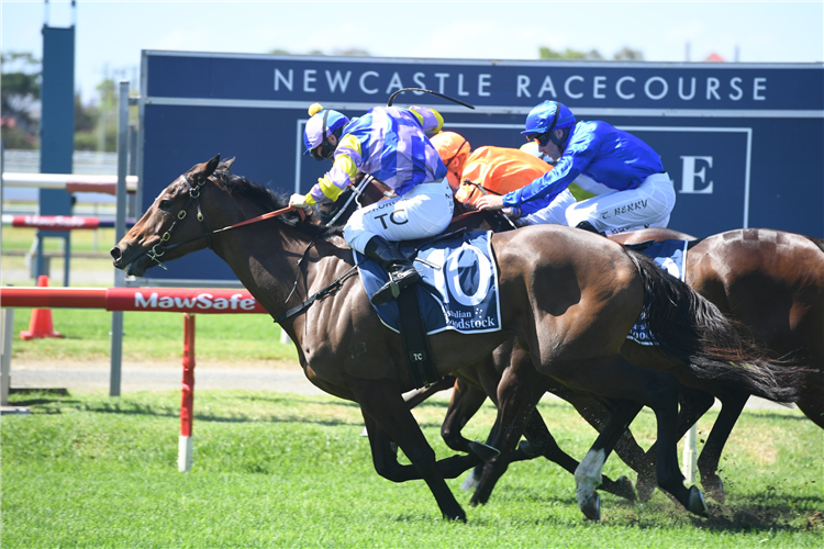 BRING THE RANSOM winning the Guardian Safety Solutions at Newcastle in Australia.