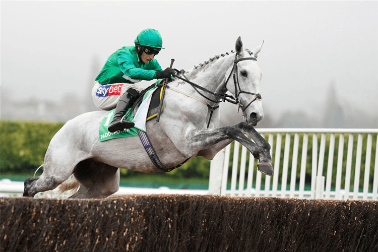 BRISTOL DE MAI in action during The Paddy Power Cotswold Chase in Cheltenham, England.