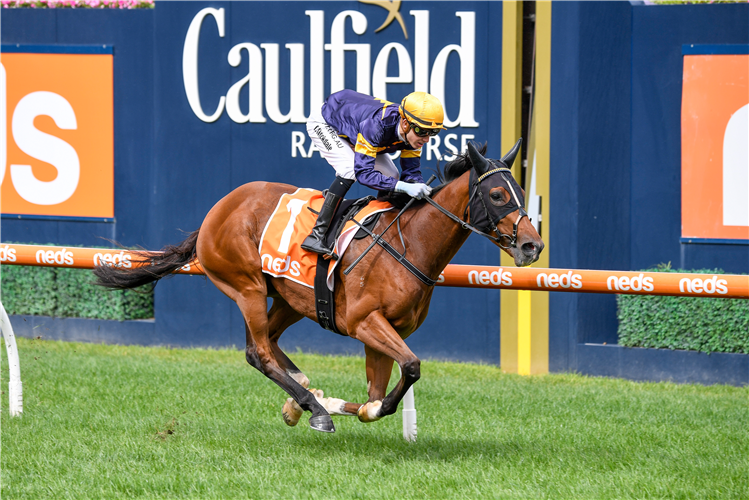 BUFFALO RIVER winning the Jack Elliott Handicap.